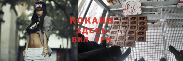 кокаин премиум Белокуриха