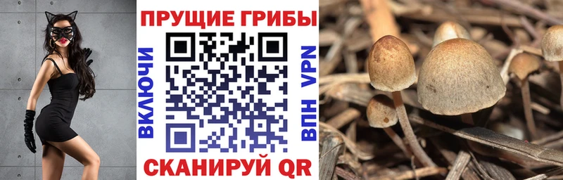Псилоцибиновые грибы MAGIC MUSHROOMS  Вязьма 