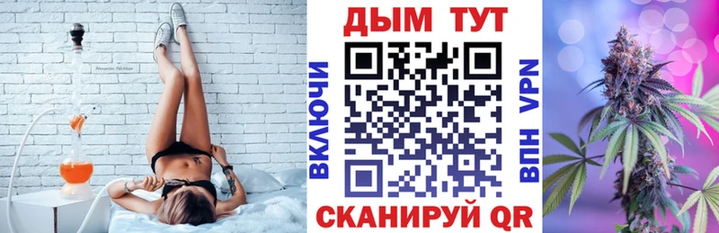 купить наркотик  Вязьма  blacksprut зеркало  Каннабис сатива 